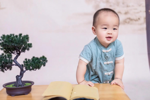 丽江可爱的企鹅宝宝